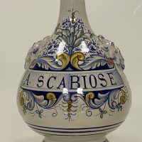 A. Scabiose